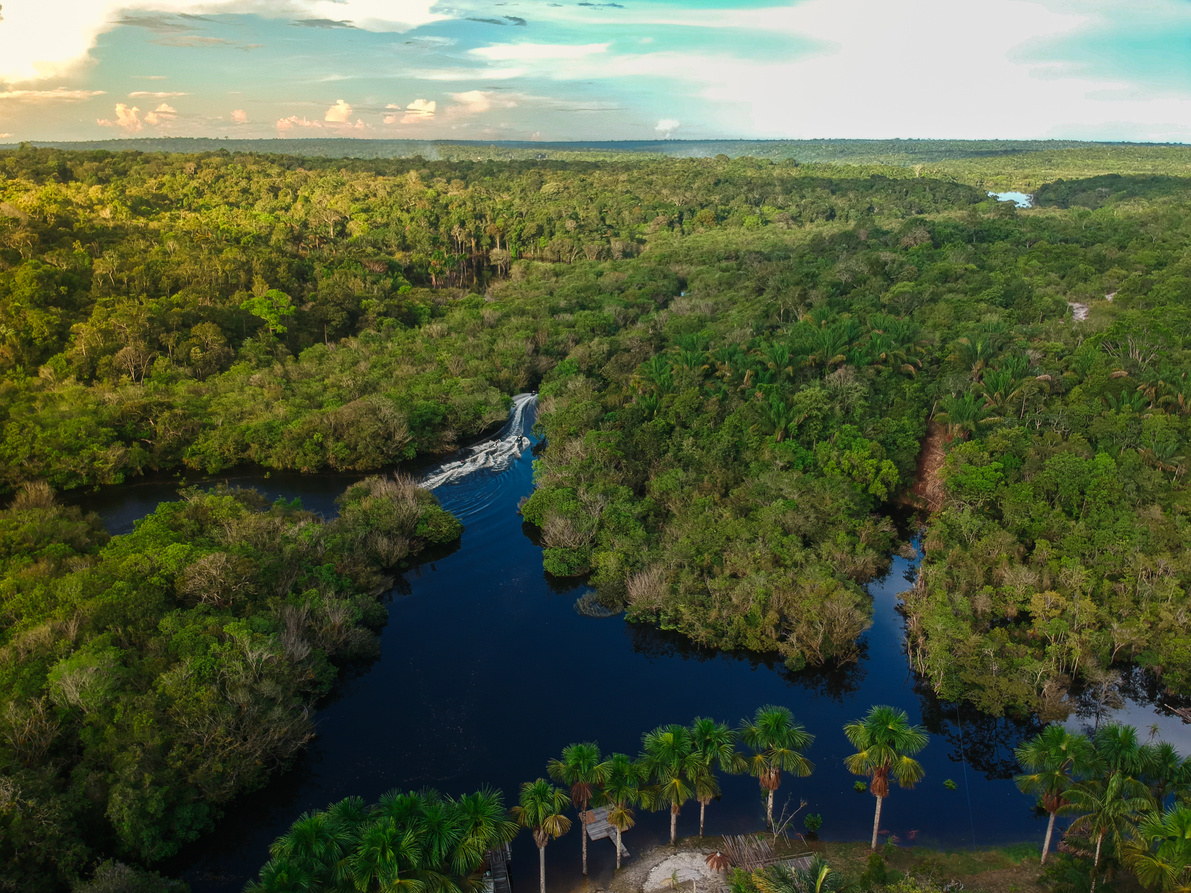 Aerial view of the Amazon Rainforest in Brazil